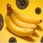 Đồng Bananacoin là gì? Đặc điểm và phân tích đồng Bananacoin